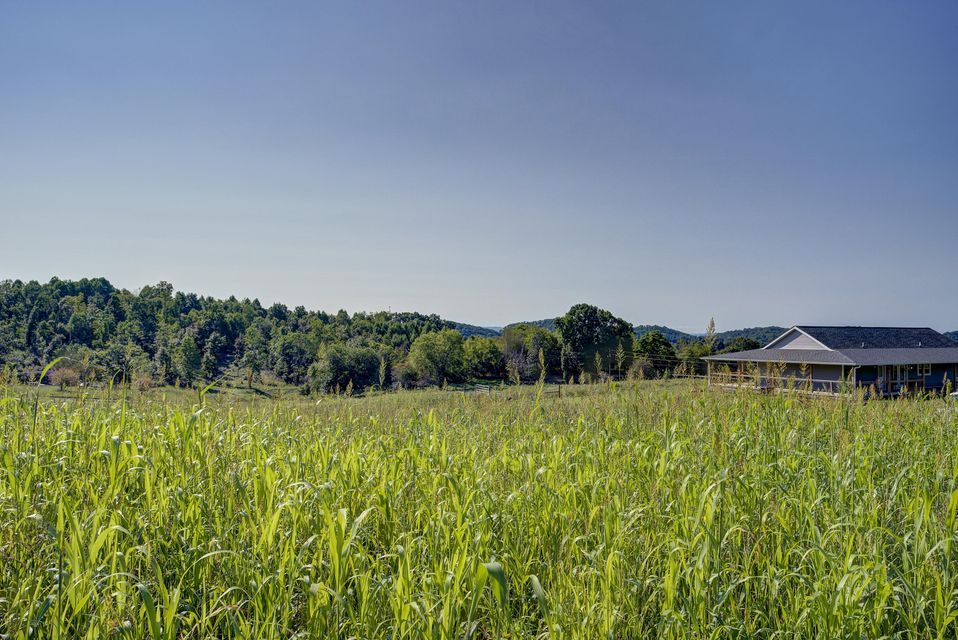 Photo #46: 171 Byington Road