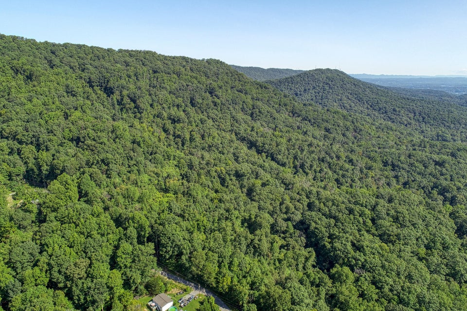 Photo #8: Tbd Bays Mountain Trail