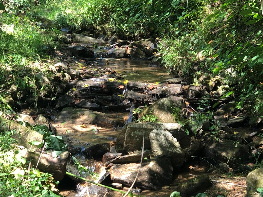Photo #11: 343 Buck Mountain Road