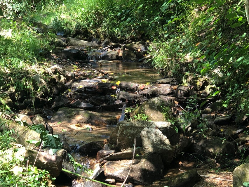 Photo #15: 343 Buck Mountain Road