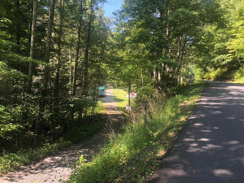 Photo #23: 343 Buck Mountain Road