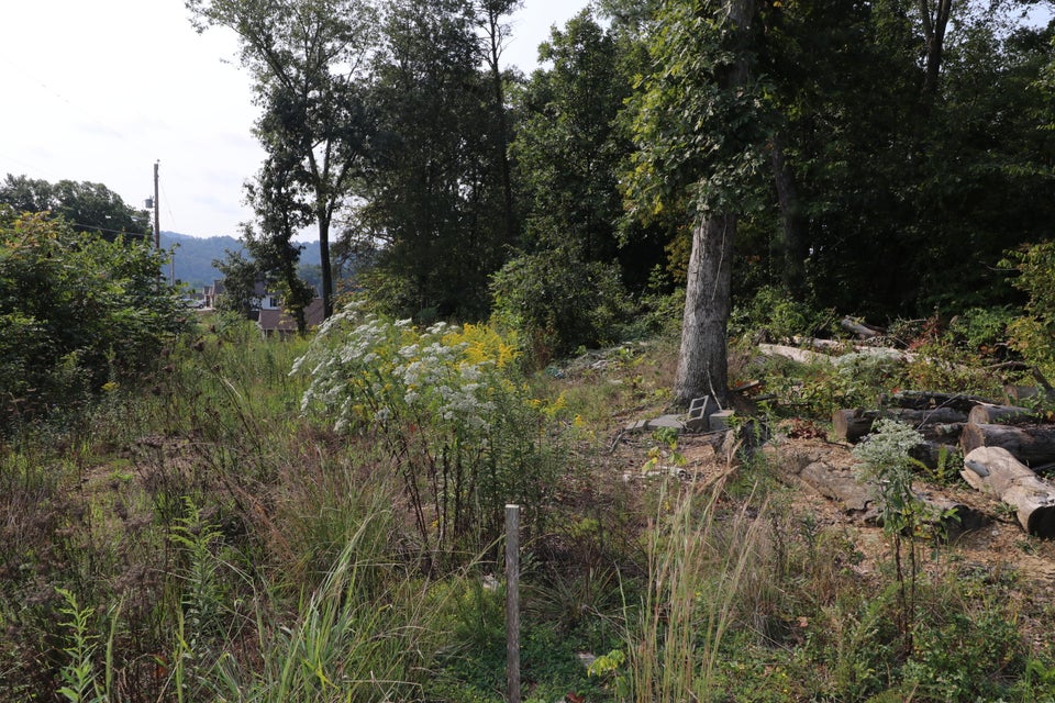 Photo #3: Tbd Seaver Rd Road