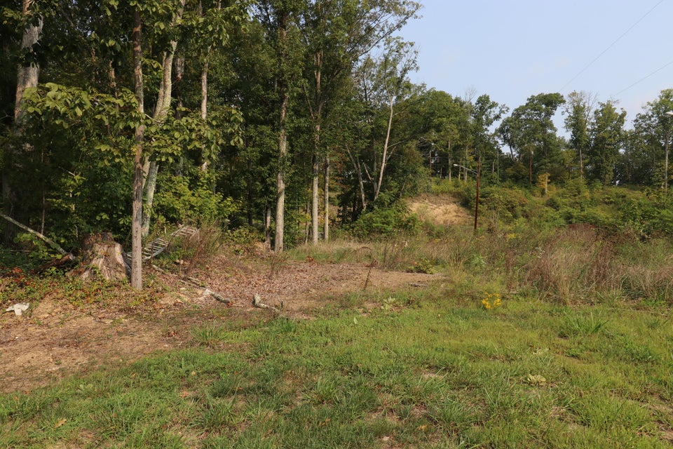 Photo #4: Tbd Seaver Rd Road