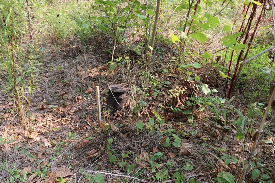 Photo #6: Tbd Seaver Rd Road