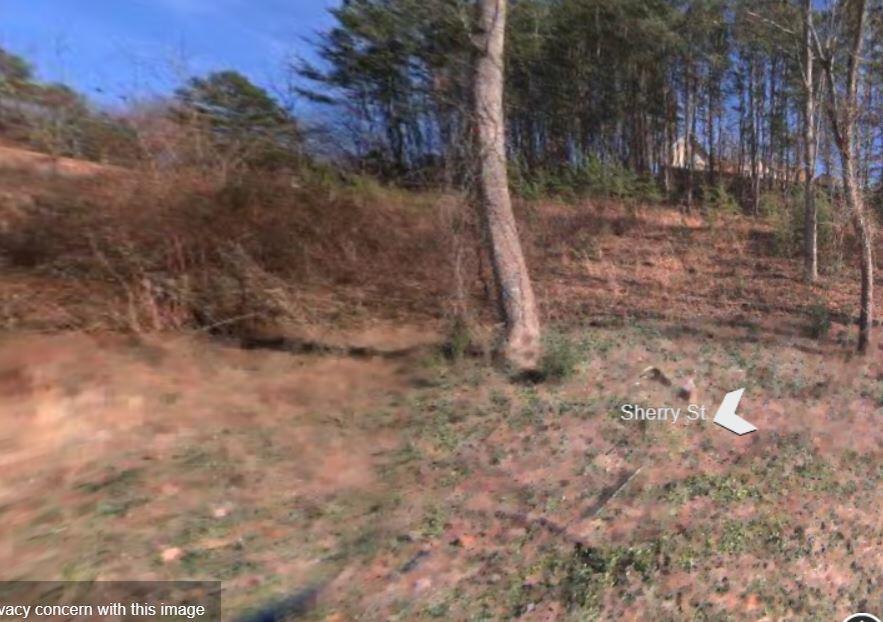 Photo #2: Tbd Sunview Lane