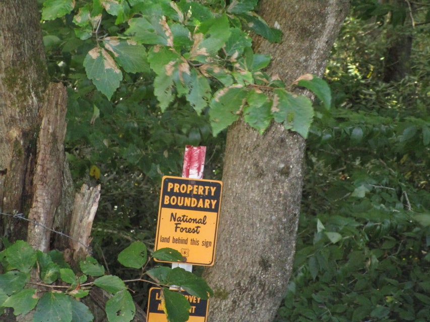 Photo #45: 102 & 100 Wildflower Trail