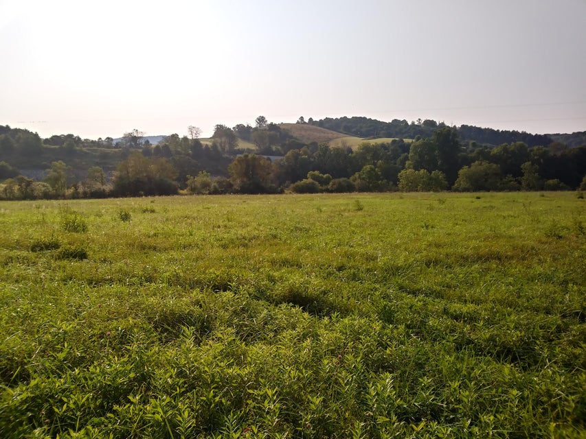 Photo #12: Tbd Highway 91