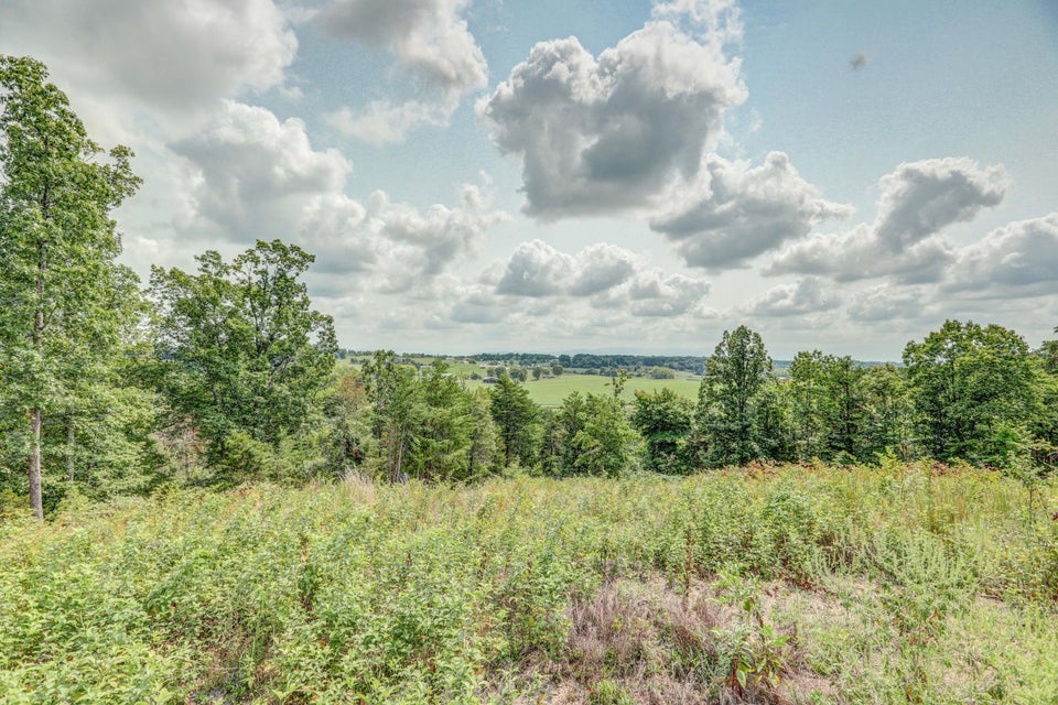 Photo #4: 1850 Old Ducktown Road