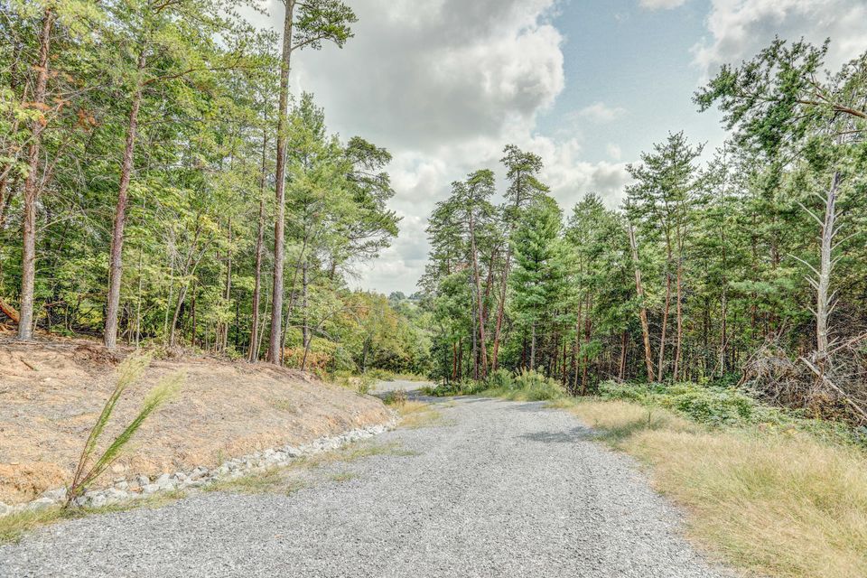 Photo #7: 1850 Old Ducktown Road
