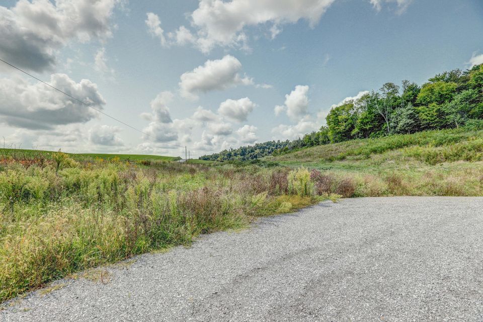 Photo #11: 1850 Old Ducktown Road