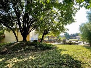 Photo #10: 1201 Fredricksburg Drive