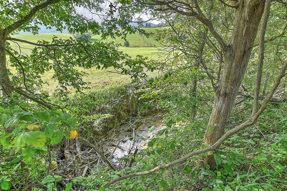 Photo #26: 2700 Little Meadow Creek Road