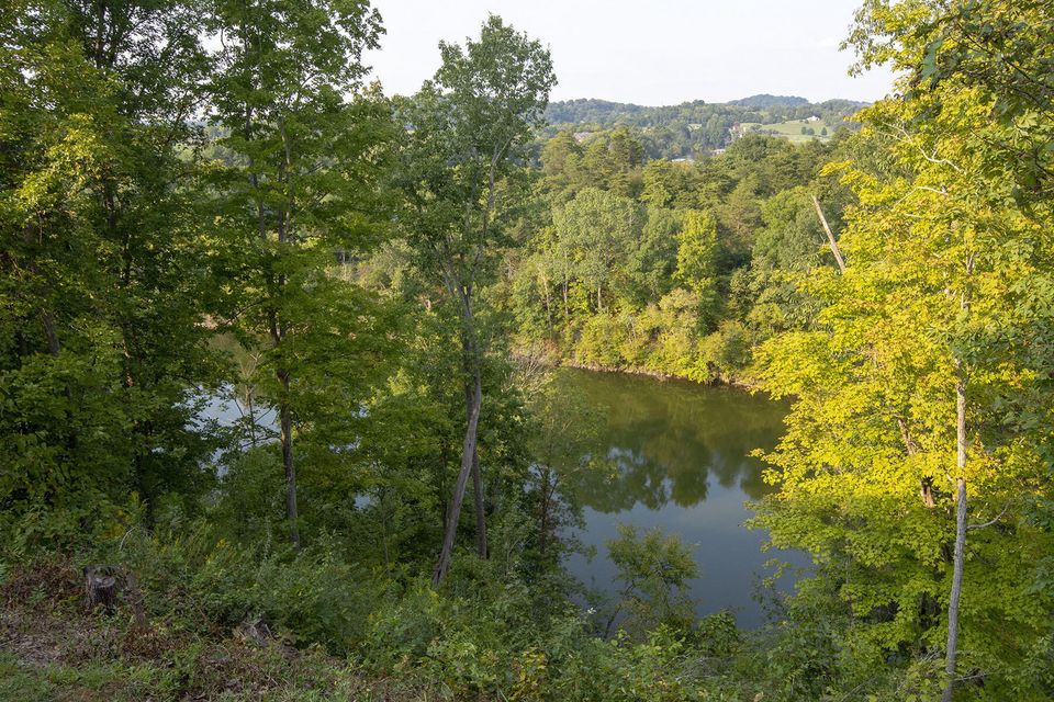 Photo #9: 357 Coldwater Drive