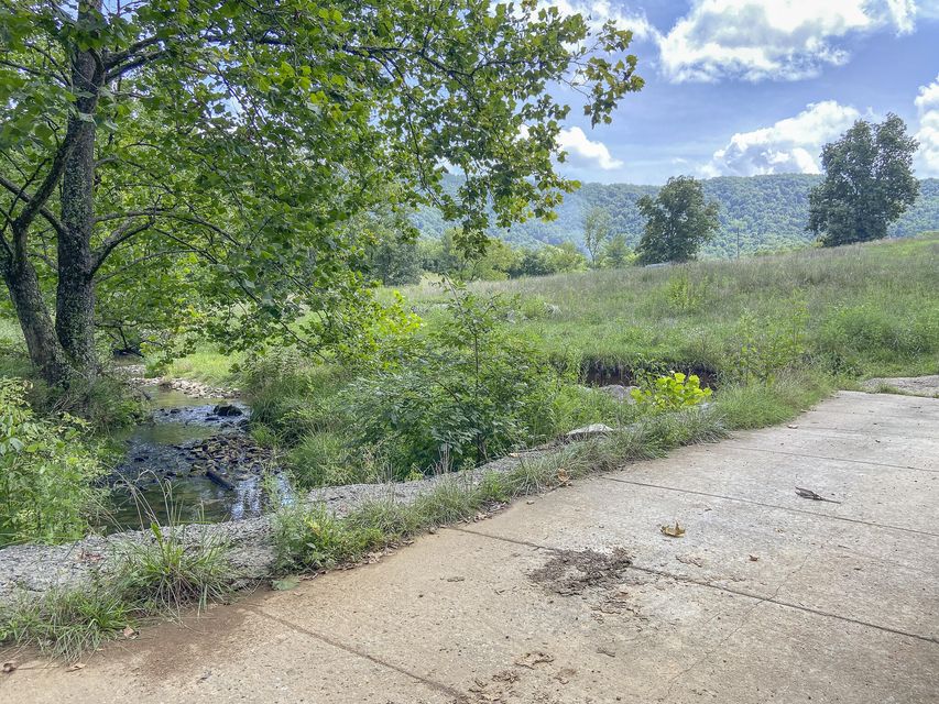 Photo #11: Tbd Highway 131 West