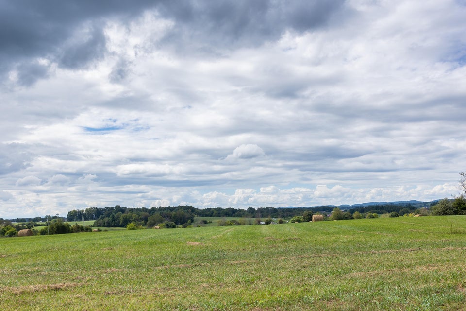 Photo #4: 503 Matthews Mill Road