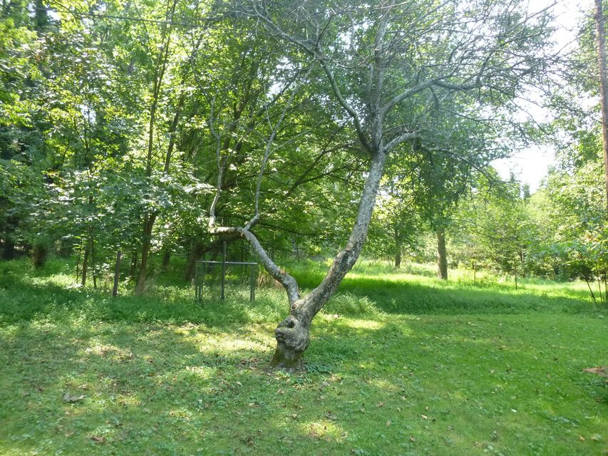 Photo #12: 0 Orebank Road