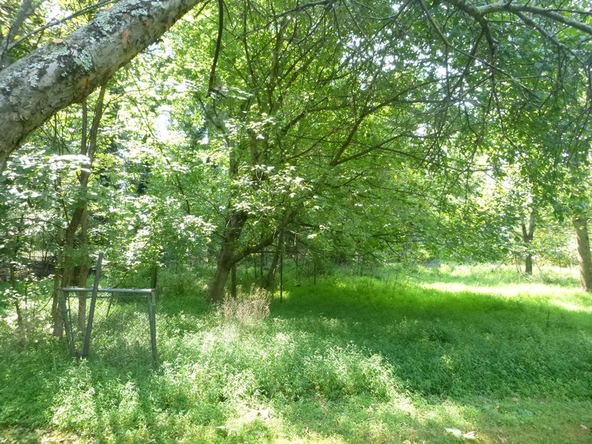 Photo #17: 0 Orebank Road