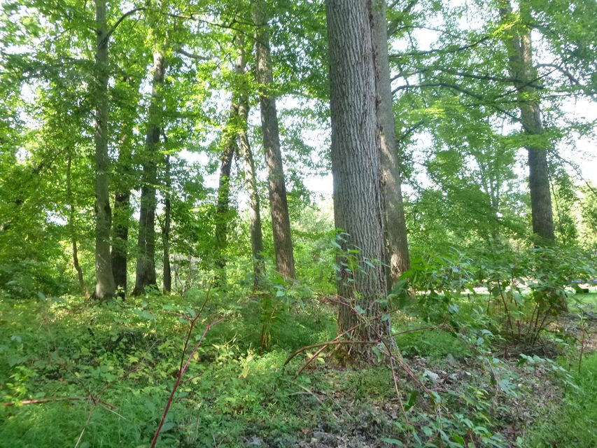 Photo #21: 0 Orebank Road