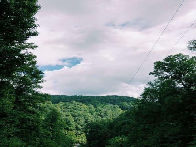Photo #21: 4264 Old Asheville Highway
