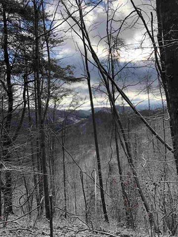 Photo #1: 00 Hwy 421