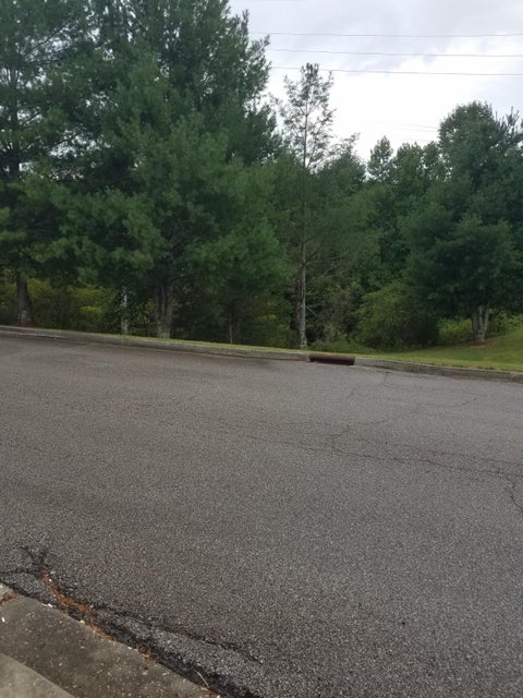 Photo #3: Tbd Roane State Highway