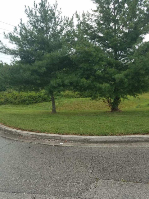 Photo #4: Tbd Roane State Highway