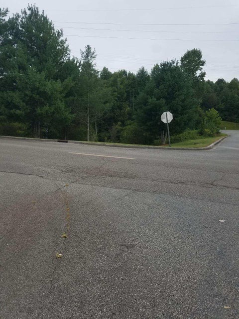 Photo #5: Tbd Roane State Highway