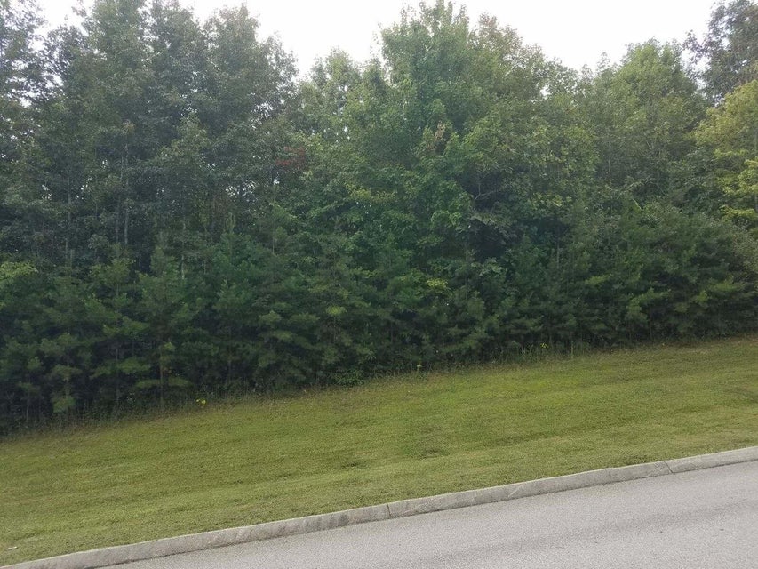 Photo #6: Tbd Roane State Highway