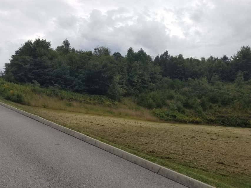 Photo #7: Tbd Roane State Highway