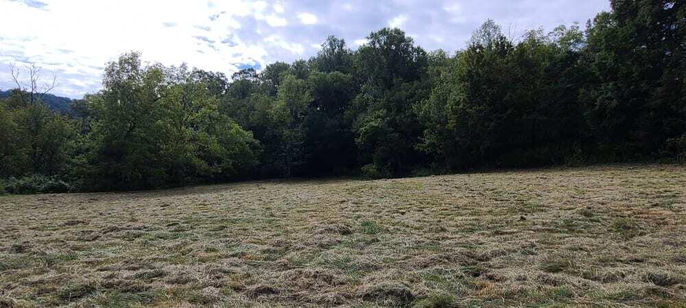 Photo #16: 166 Meadow View Road