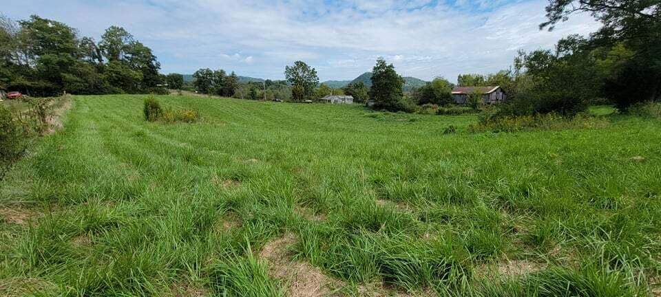 Photo #9: 166 Meadow View Road