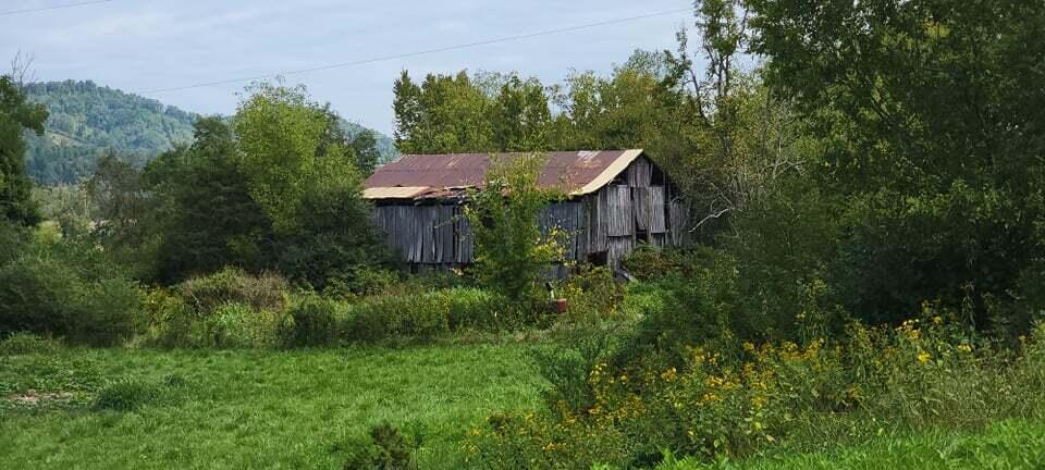 Photo #5: 166 Meadow View Road