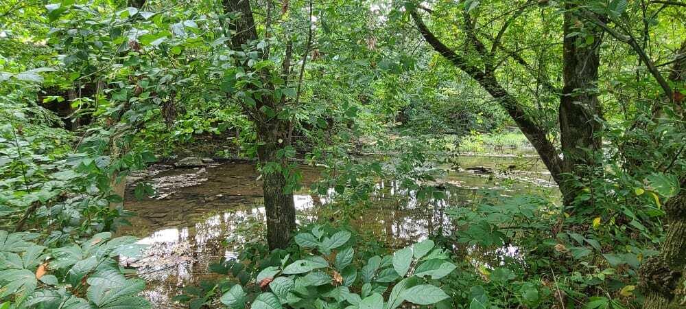 Photo #13: 166 Meadow View Road