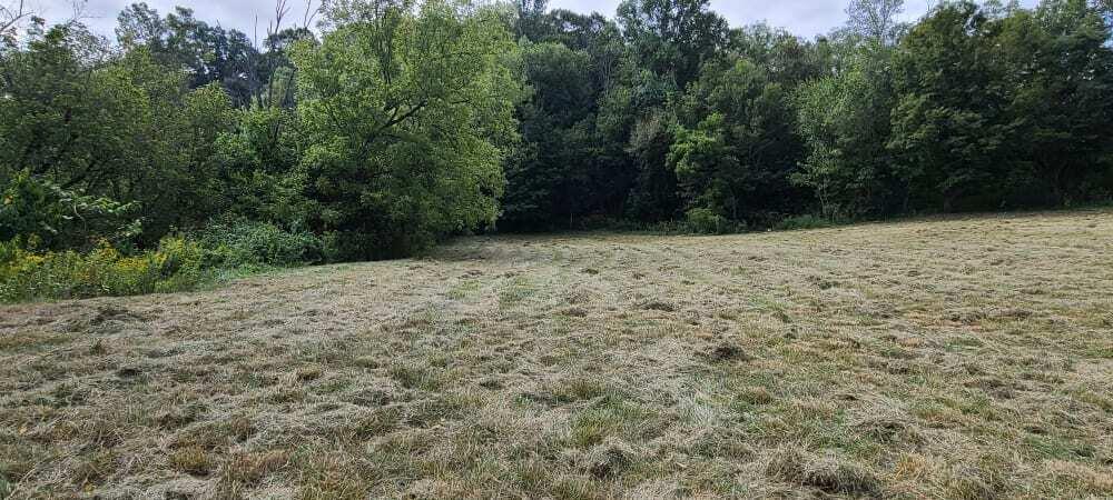 Photo #18: 166 Meadow View Road