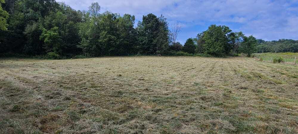 Photo #19: 166 Meadow View Road