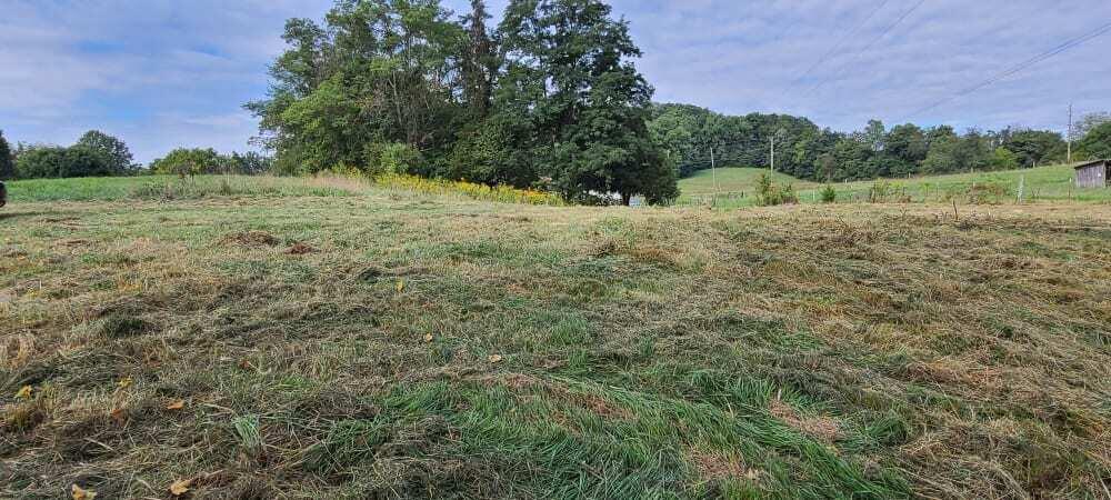Photo #20: 166 Meadow View Road