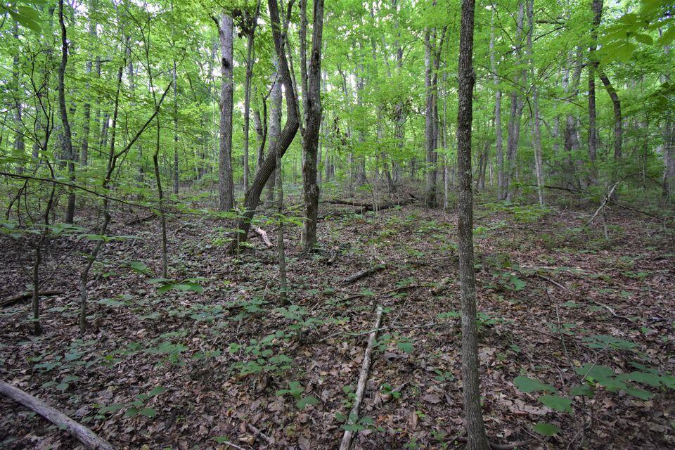Photo #6: 1200 Douglas Dr