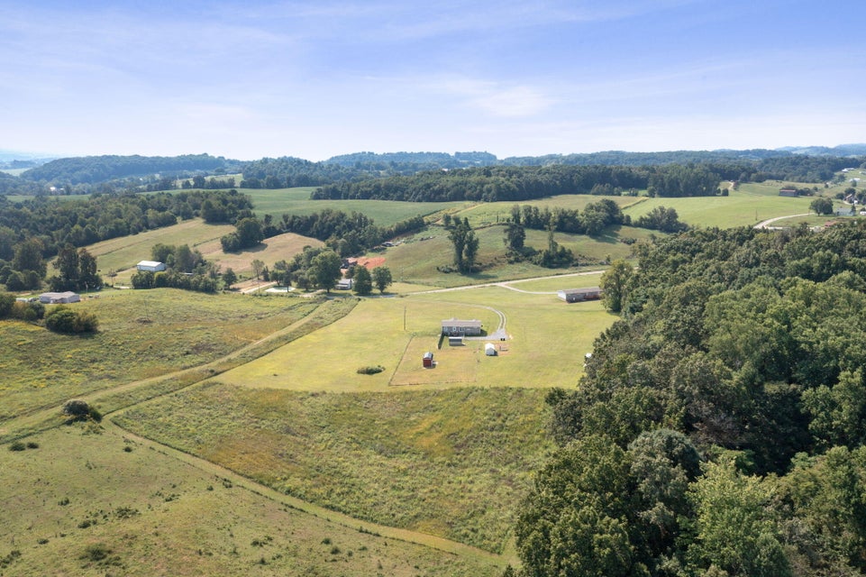Photo #33: 2505 Milburnton Road