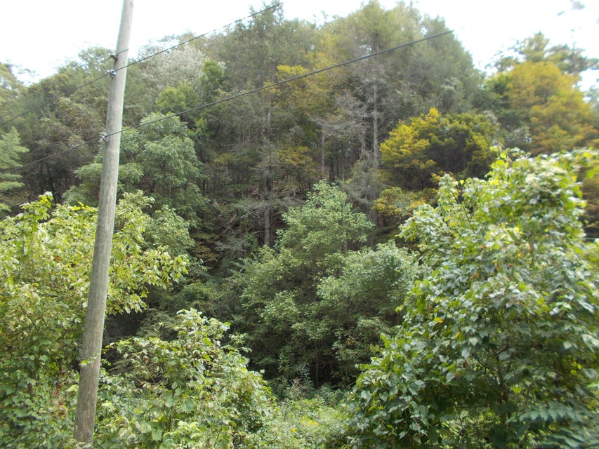 Photo #3: