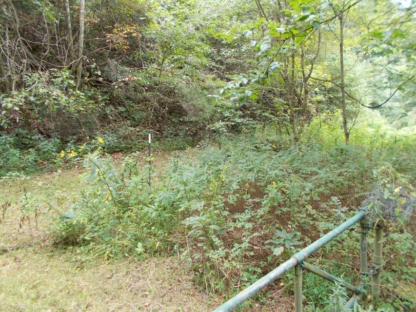 Photo #5: