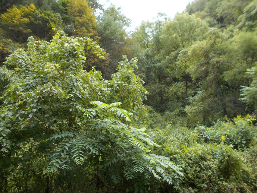 Photo #6:
