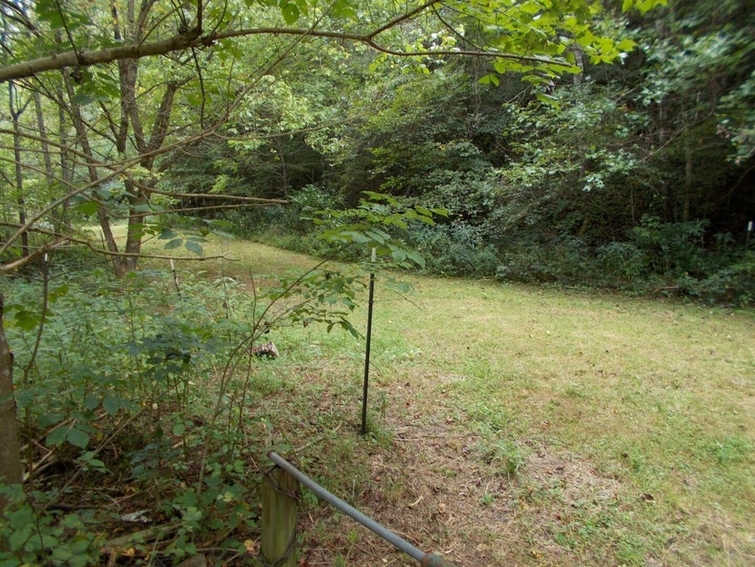 Photo #8: