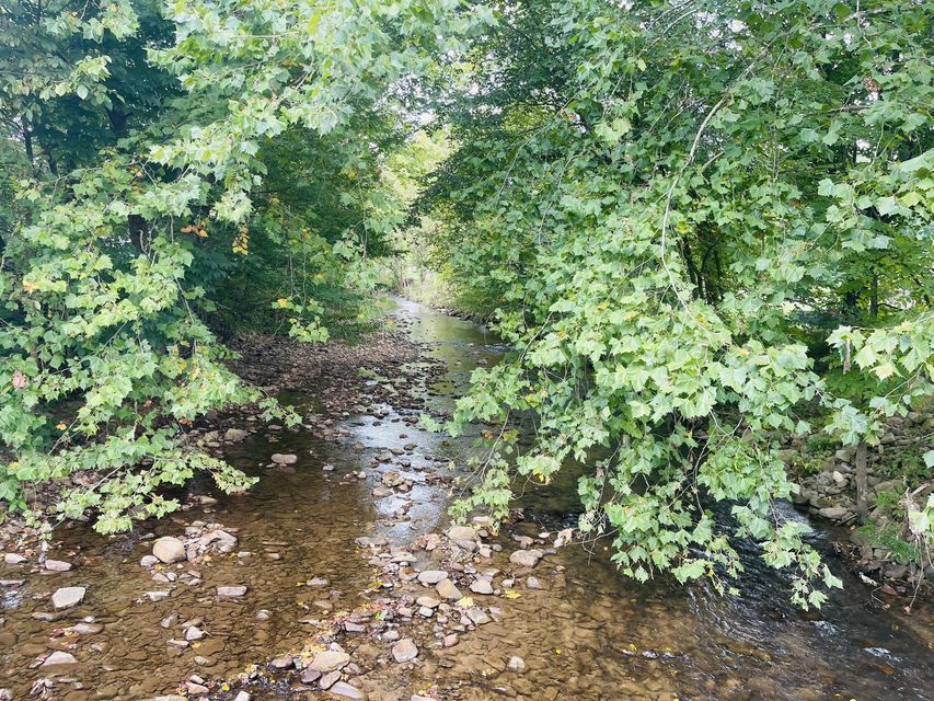 Photo #32: 138 Peters Hollow Road