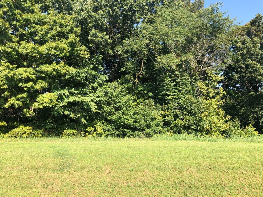 Photo #2: Lot 48 Chimney Top Lane
