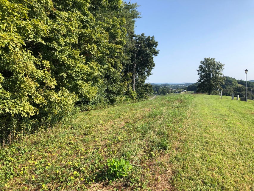 Photo #3: Lot 48 Chimney Top Lane