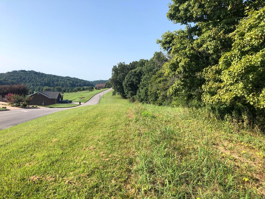 Photo #4: Lot 48 Chimney Top Lane