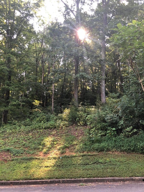 Photo #1: Lot 35 Chimney Top Lane