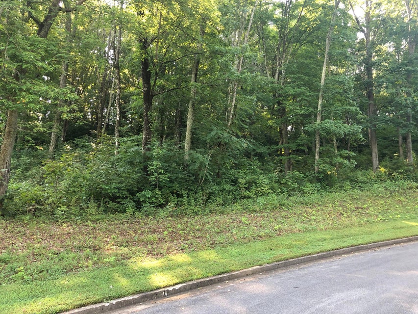 Photo #2: Lot 35 Chimney Top Lane