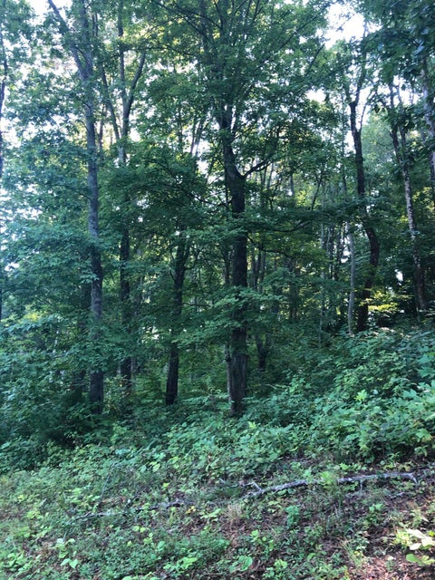 Photo #3: Lot 35 Chimney Top Lane