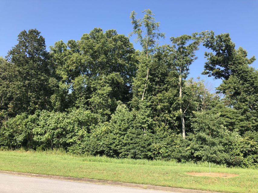 Photo #3: Lot 43 Chimney Top Lane